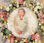 Load image into Gallery viewer, Awww Luxury Baby Shoot Package
