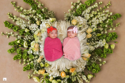 Awww Twin Baby Photoshoot Package
